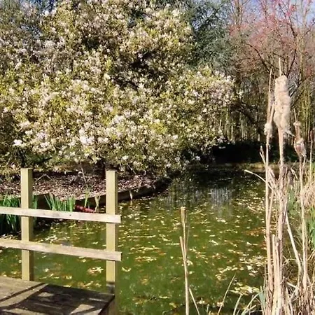 Domaine Des Célestins - Captive Des Sables