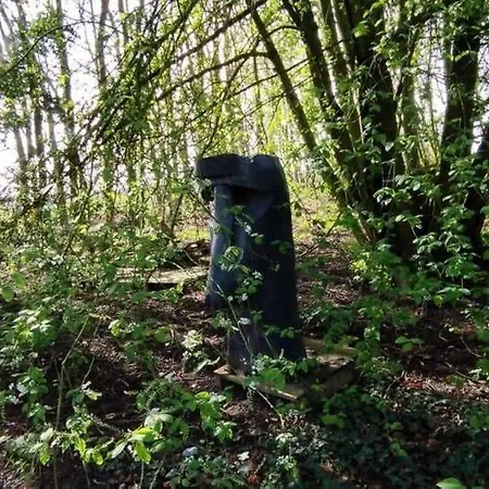 Domaine Des Célestins - Captive Des Sables