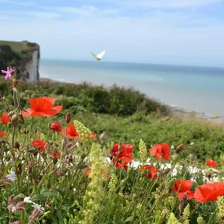 Domaine Des Célestins - Captive Des Sables * Bernay-en-Ponthieu
