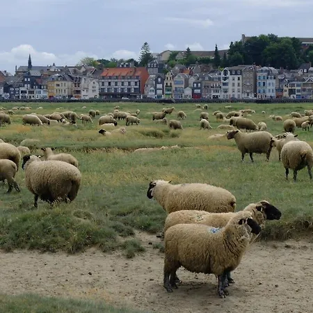 Domaine Des Célestins - Captive Des Sables *